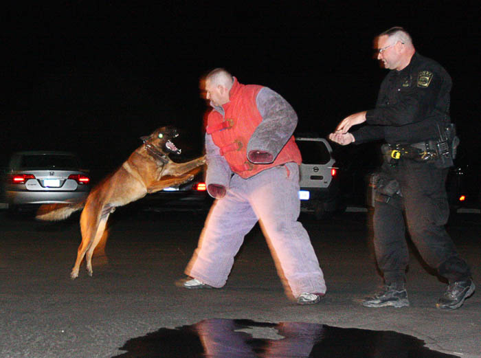 K-9